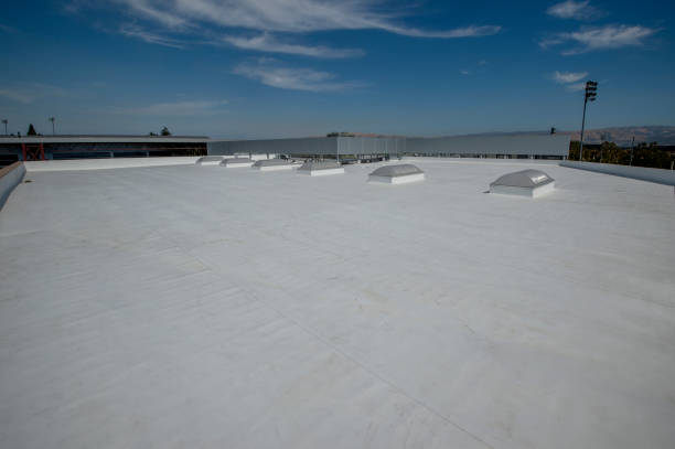 Best Cold Roofs  in Henderson, KY