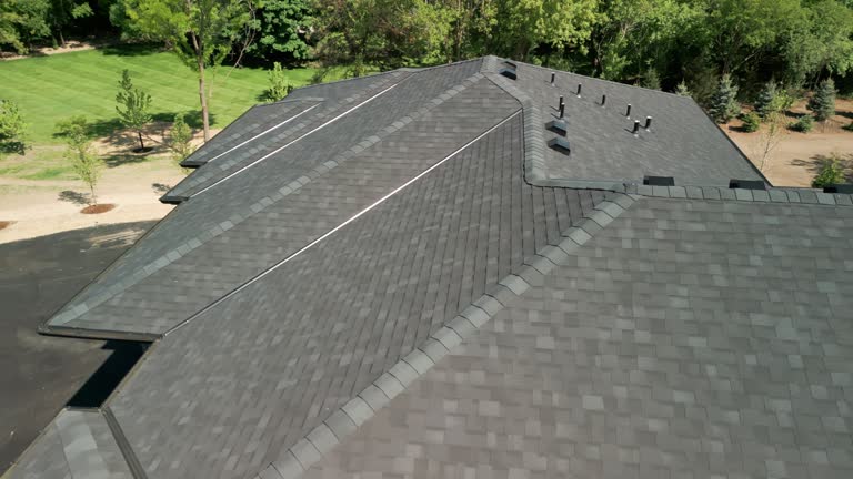 Best Roof Moss and Algae Removal  in Henderson, KY